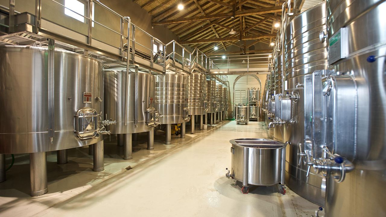 Weingut Casarena foto 9