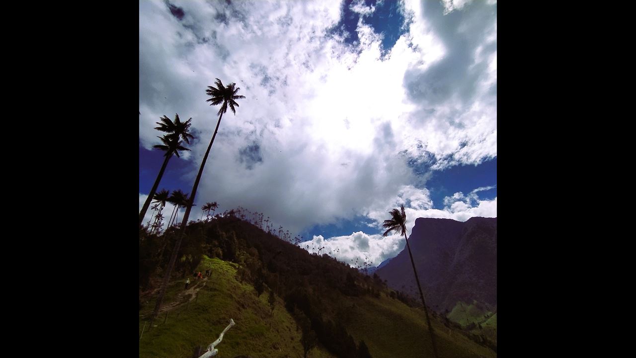 Cocora Valley Express Em Um Jeep Willys foto 6