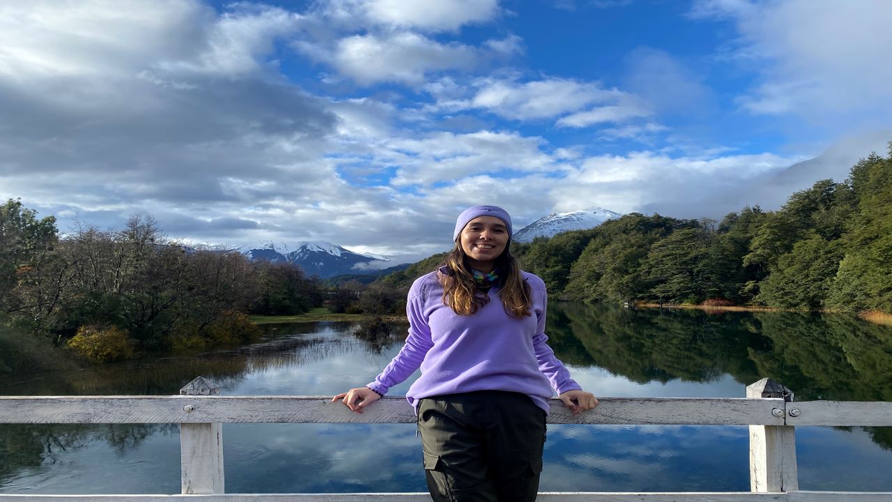 Oferta De Excursão: Transfers, Circuito Chico E Cerro Tronador foto 7