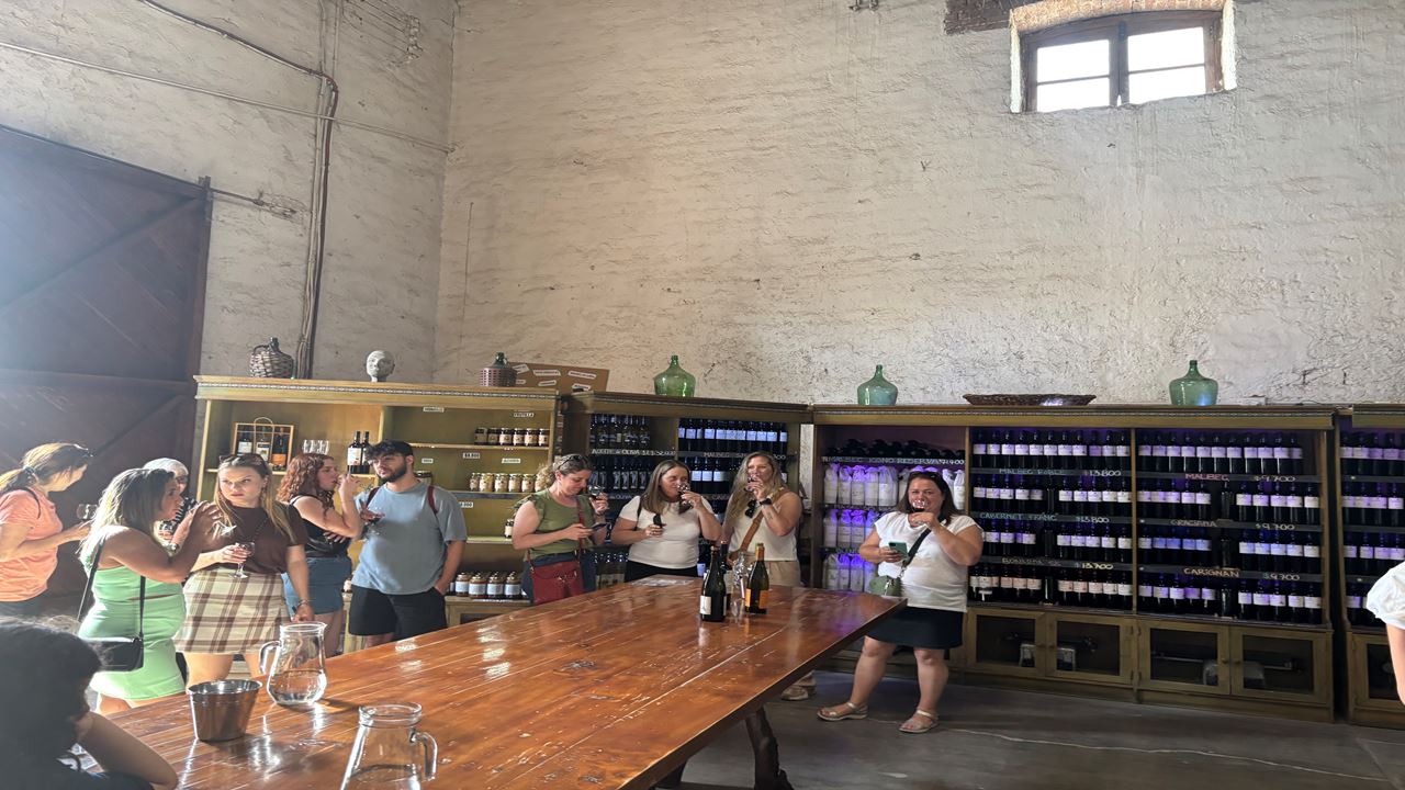 Promo: Wineries, High Mountains And Airport Transfers foto 7