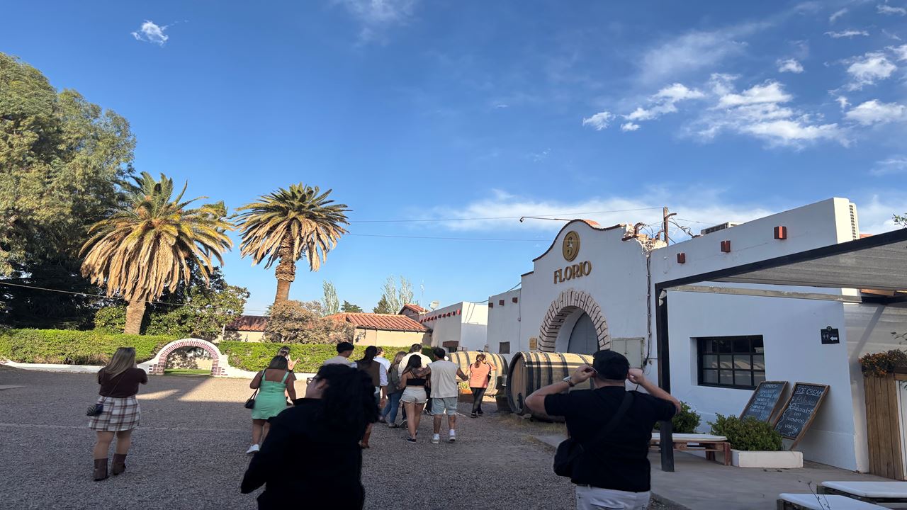 Promo: Wineries, High Mountains And Airport Transfers foto 3