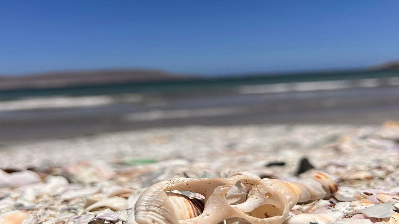 Excursion Aux Plages, Grottes Et Pictogrammes D'arica
 foto 1