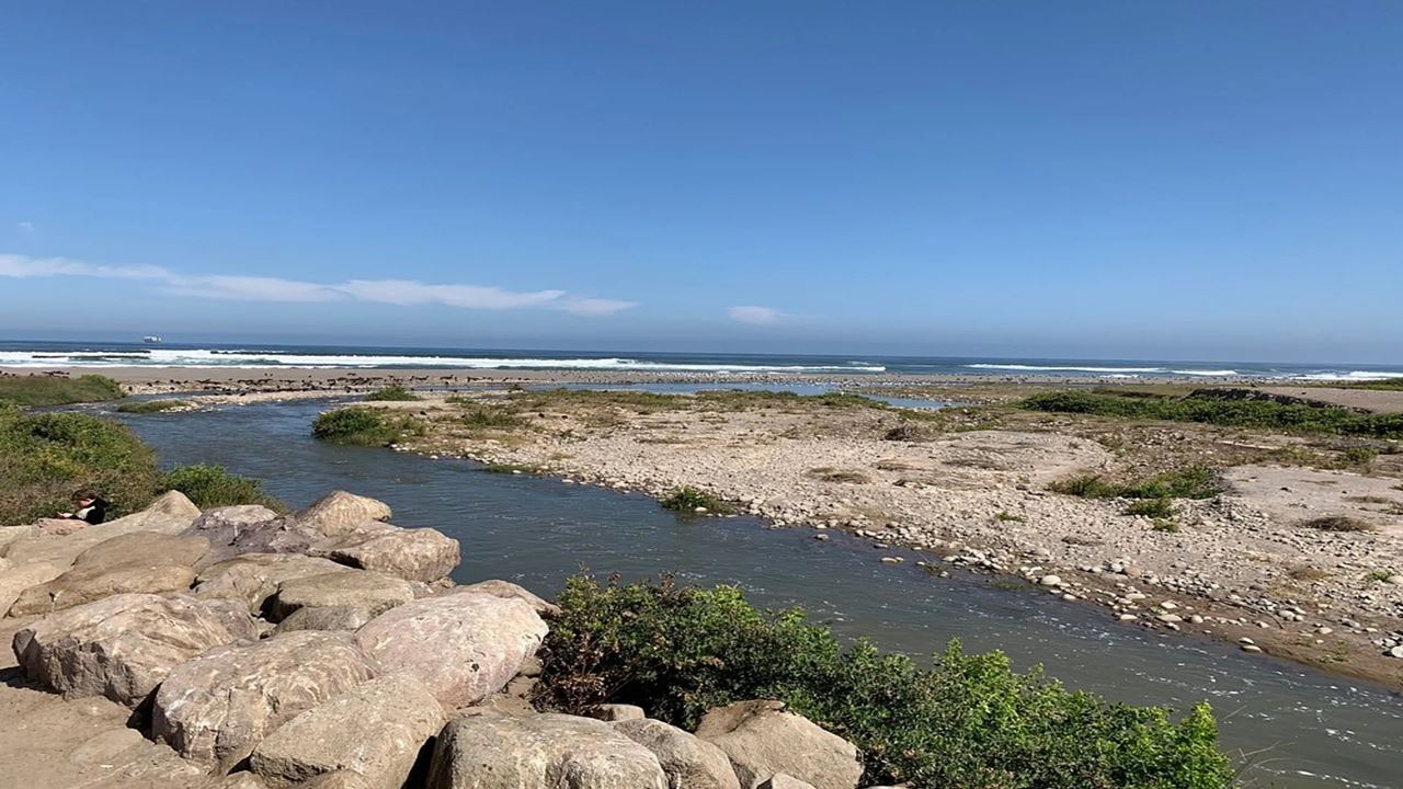 Excursion Aux Plages, Grottes Et Pictogrammes D'arica
 foto 3