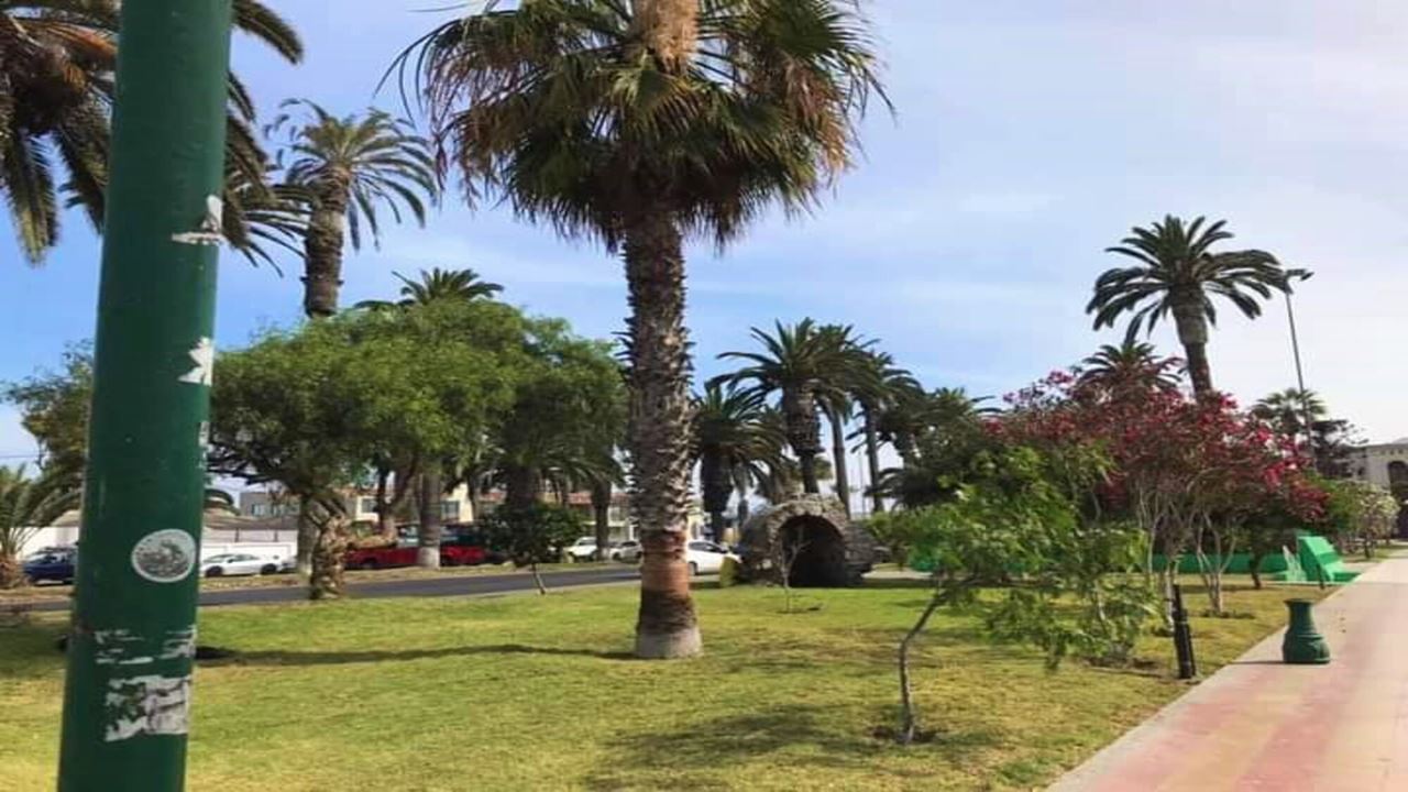Excursion Aux Plages, Grottes Et Pictogrammes D'arica
 foto 8