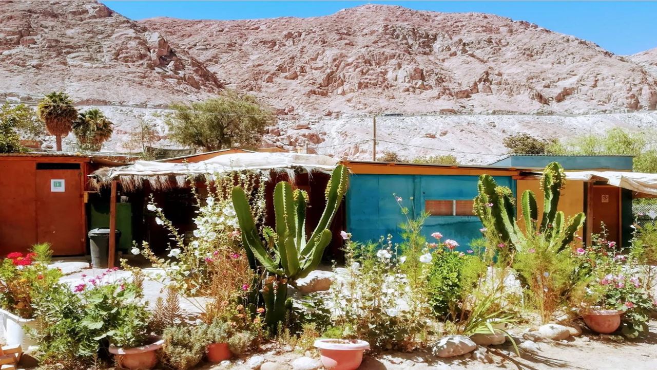 Excursion À L'oasis De Codpa, Aux Pétroglyphes De Guañacagua Et D'ofrajía foto 1