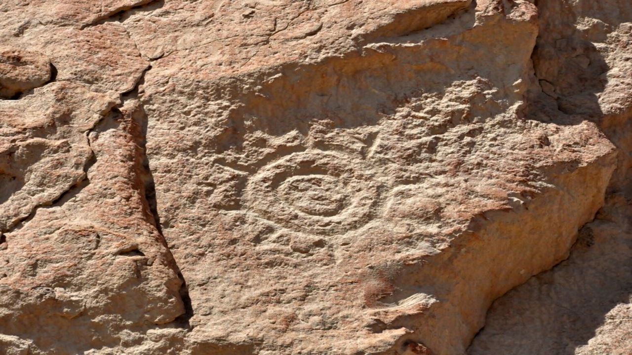 Excursion À L'oasis De Codpa, Aux Pétroglyphes De Guañacagua Et D'ofrajía foto 5