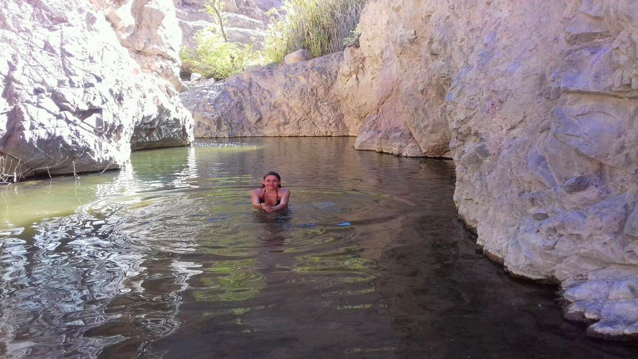 Excursion À L'oasis De Codpa, Aux Pétroglyphes De Guañacagua Et D'ofrajía foto 8
