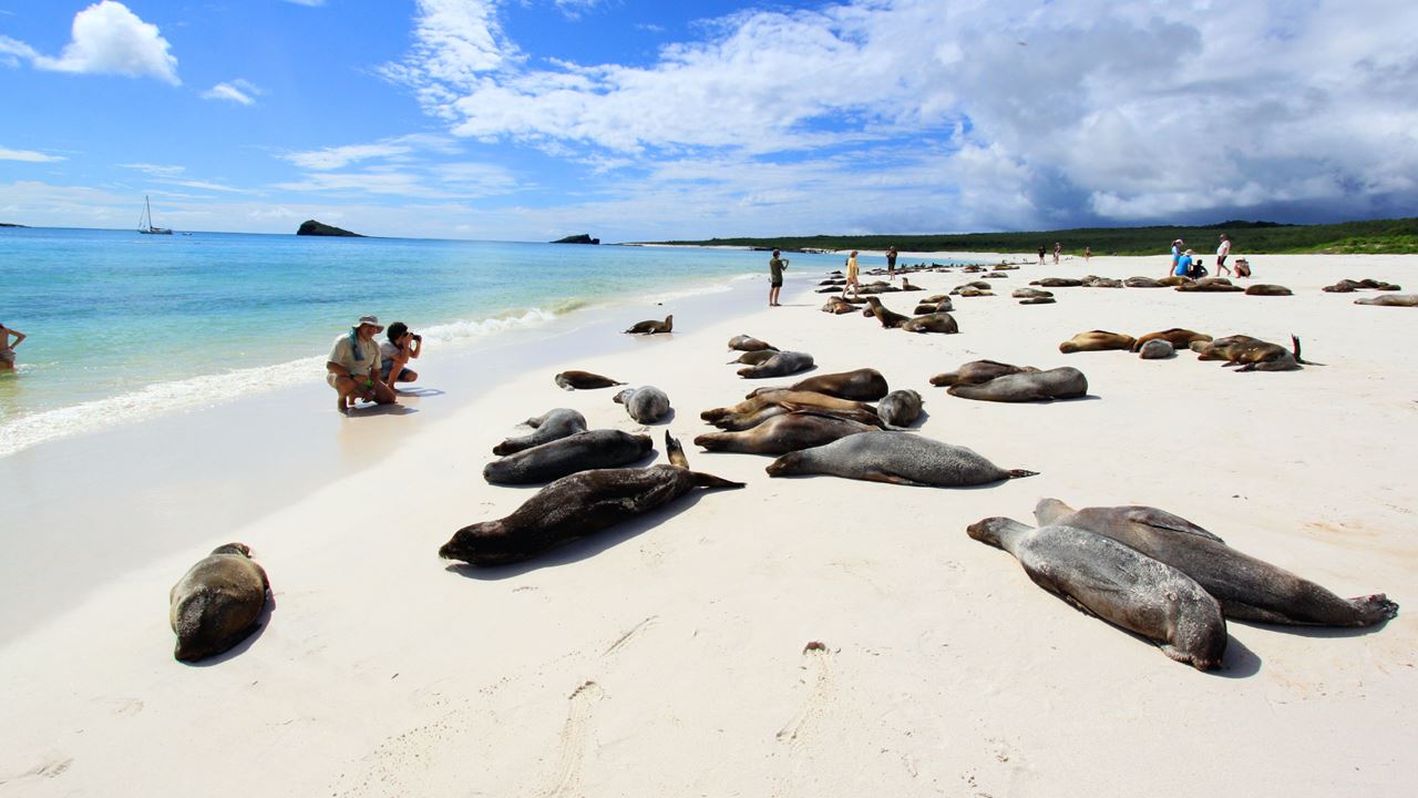 Bay Tour With Snorkeling In Santa Cruz, Galapagos foto 2