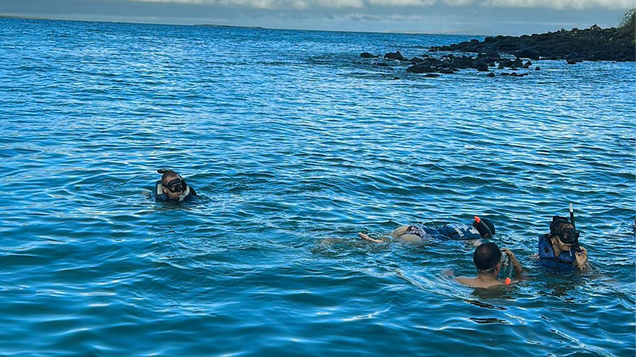 Bay Tour With Snorkeling In Santa Cruz, Galapagos foto 5