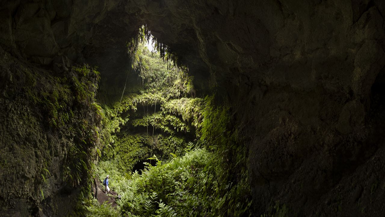 Oberes Santa Cruz: Riesenschildkröten, Lavatunnel Und Die Zwillinge foto 8