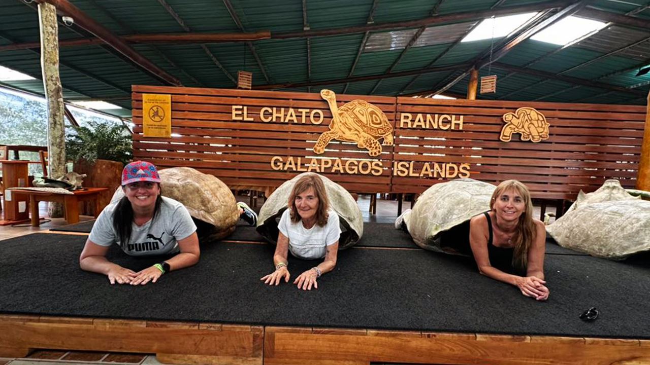Oberes Santa Cruz: Riesenschildkröten, Lavatunnel Und Die Zwillinge foto 3