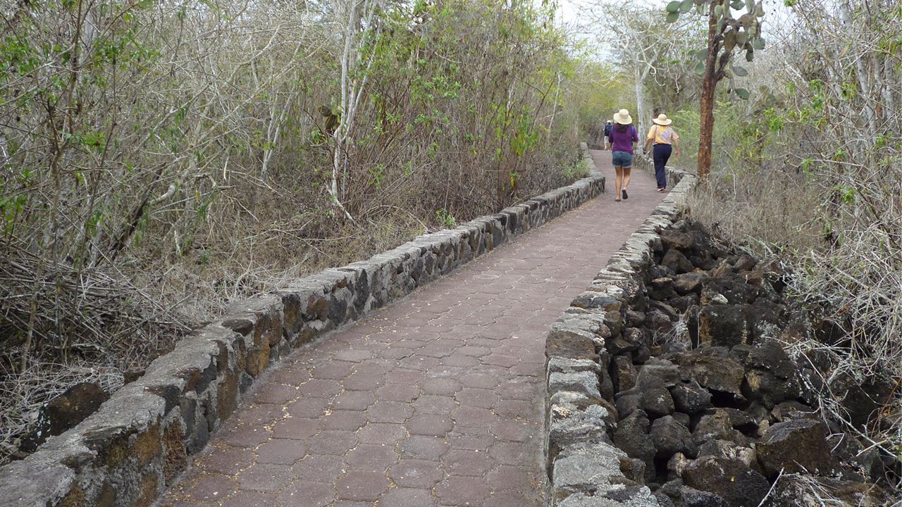 Scenic Walk To Tortuga Bay Beach foto 3