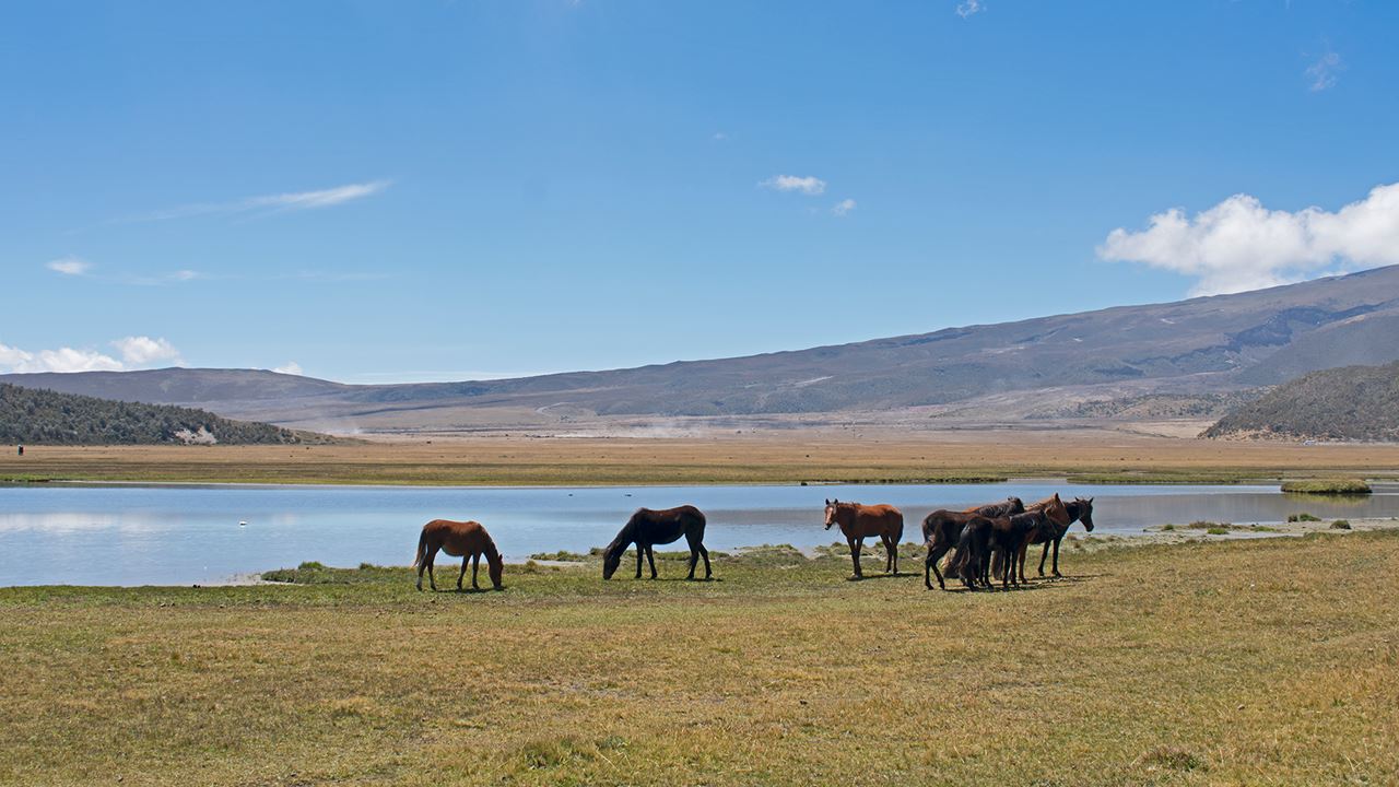 Cotopaxi: Explorando O Vulcão Dos Andes foto 4
