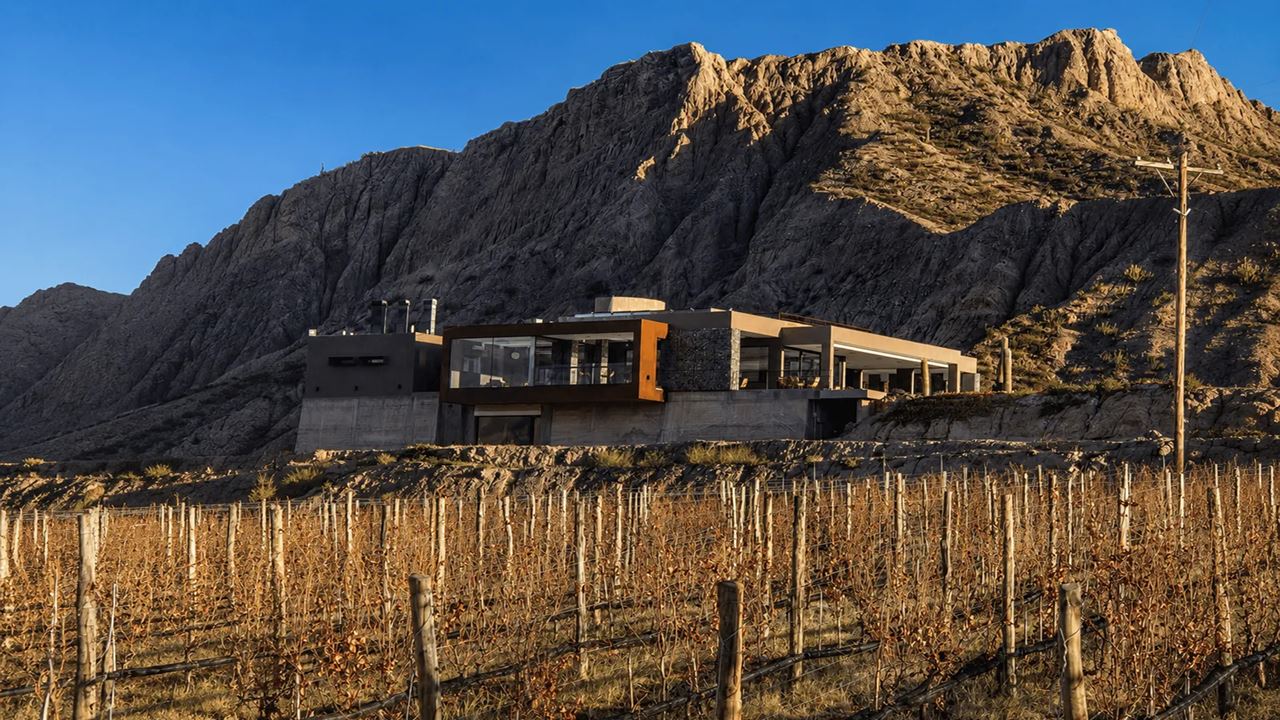 Wine Bus foto 2