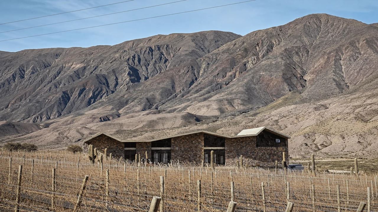 Wine Bus foto 3
