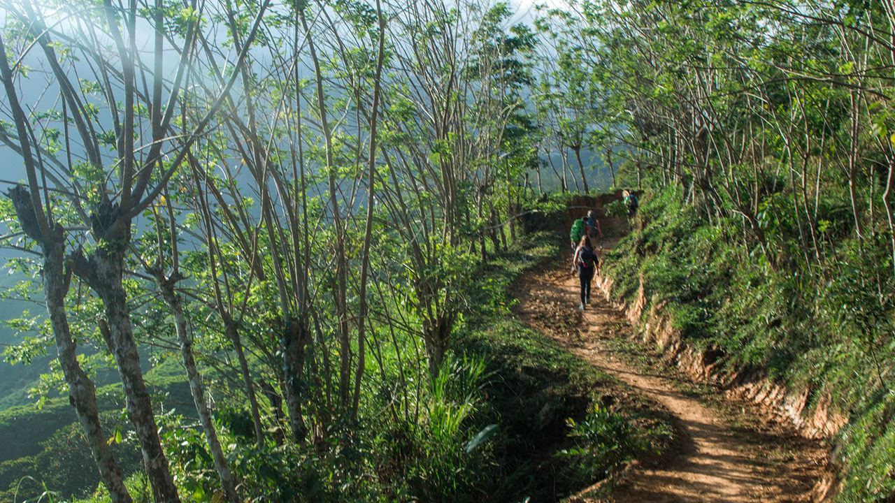 Trekking A Ciudad Perdida – 4 Días foto 2