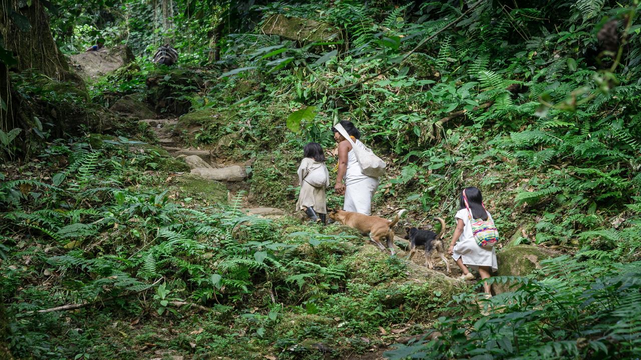 Trekking A Ciudad Perdida – 4 Días foto 6