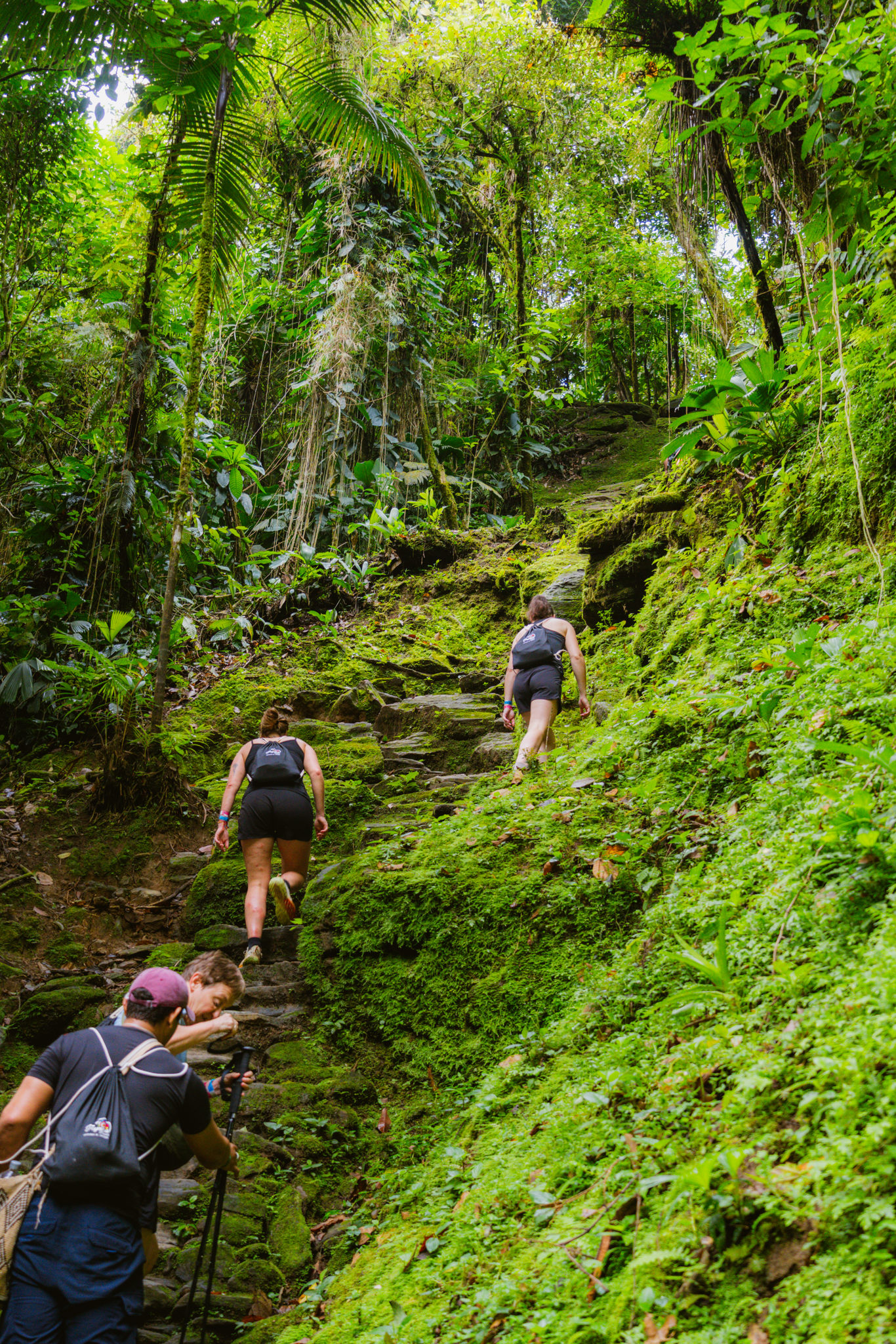 Trekking A Ciudad Perdida – 3 Días foto 5