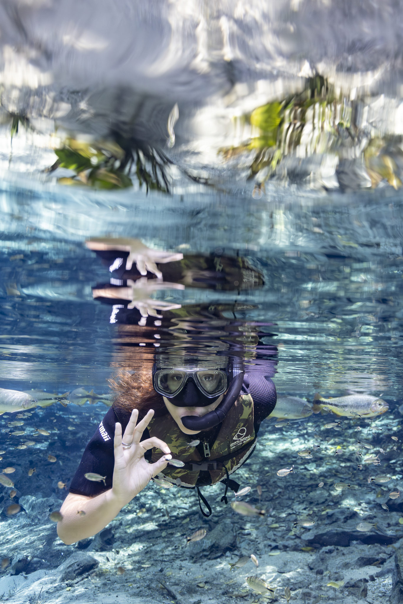 Natürliches Aquarium – Schwimmkörper foto 9