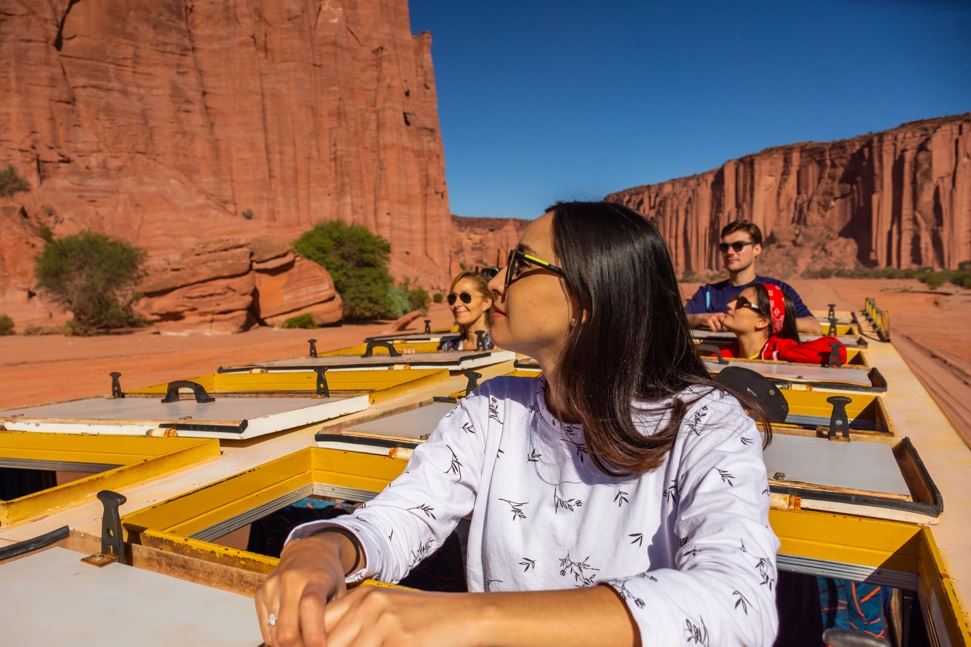 Excursion To Talampaya Canyon And Shimpa Canyon foto 4