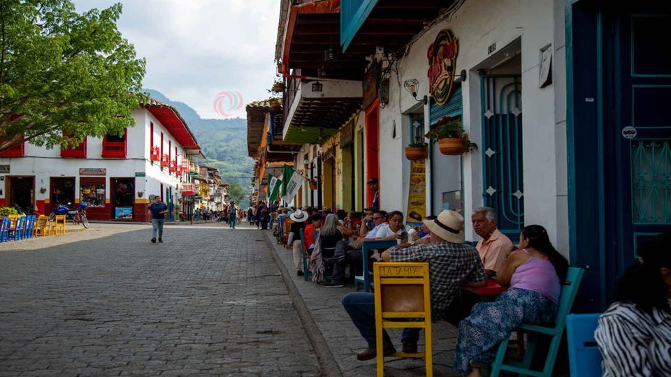 Visita Guiada Ao Jardim foto 6