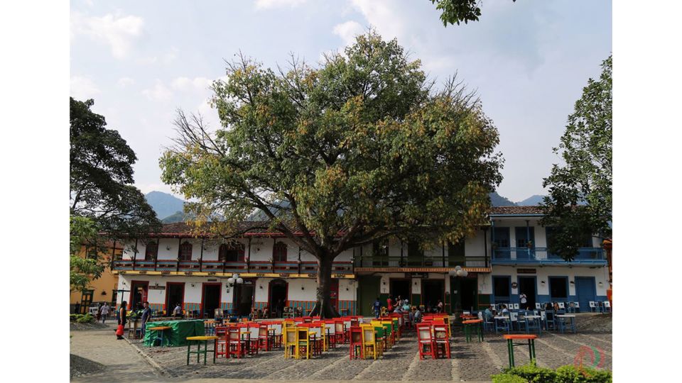 Visita Guiada Ao Jardim foto 8