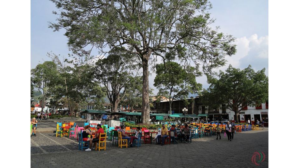 Visita Guiada Ao Jardim foto 7