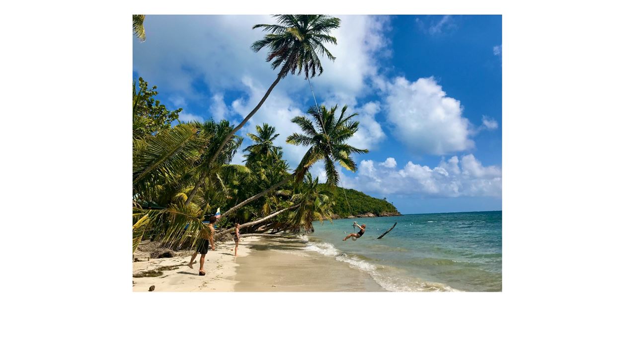 Passeio Para Johnny Cay E Aquário Natural foto 8