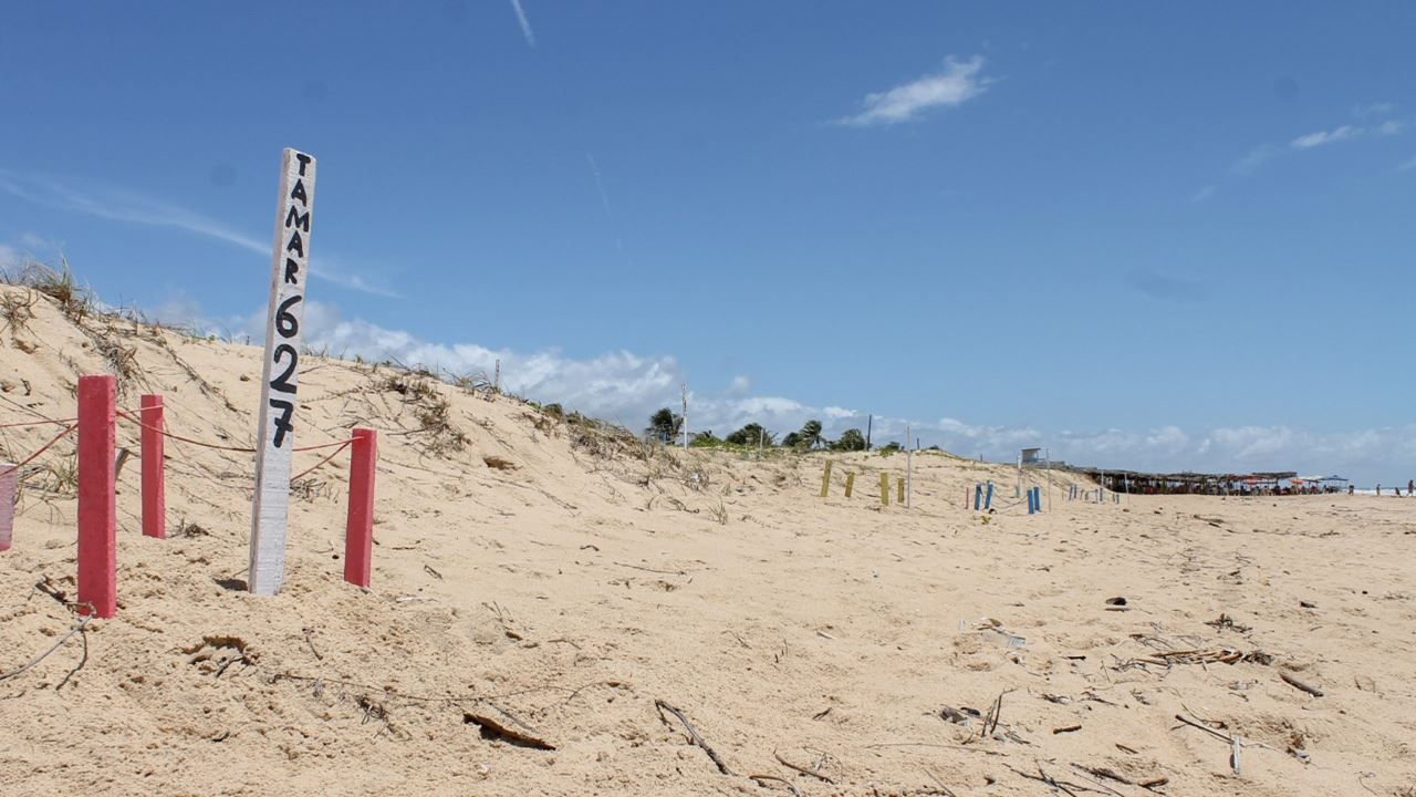 Tour A La Playa De Saco foto 2