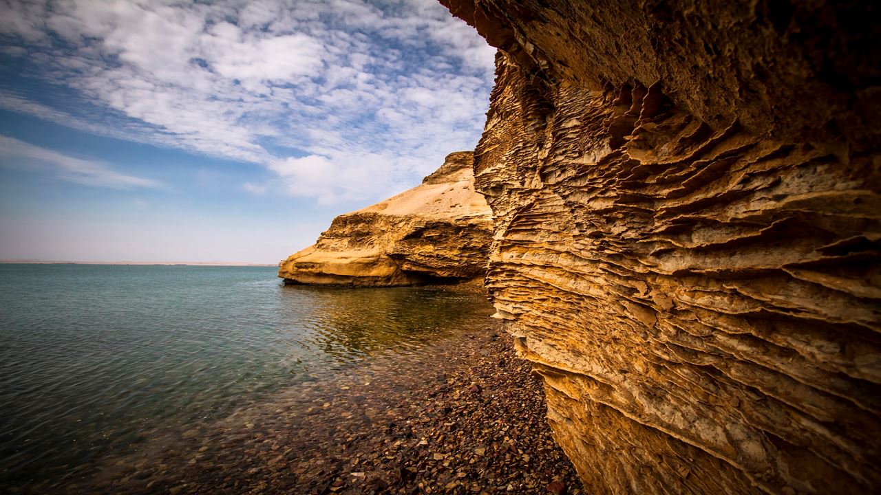 National Reserve Half Day Tour foto 10