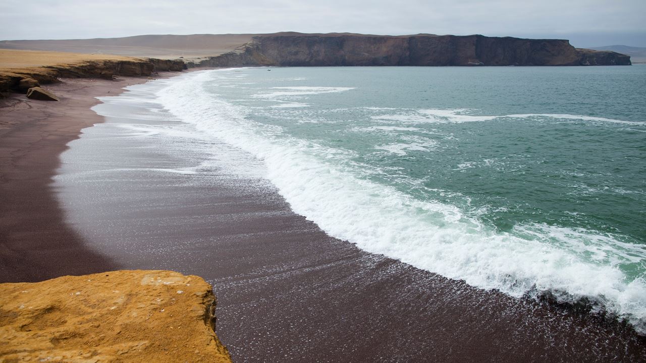 National Reserve Half Day Tour foto 2