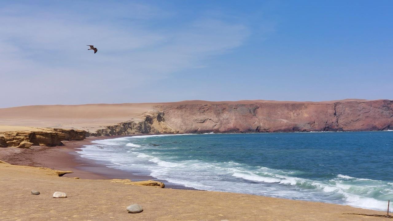 National Reserve Half Day Tour foto 11