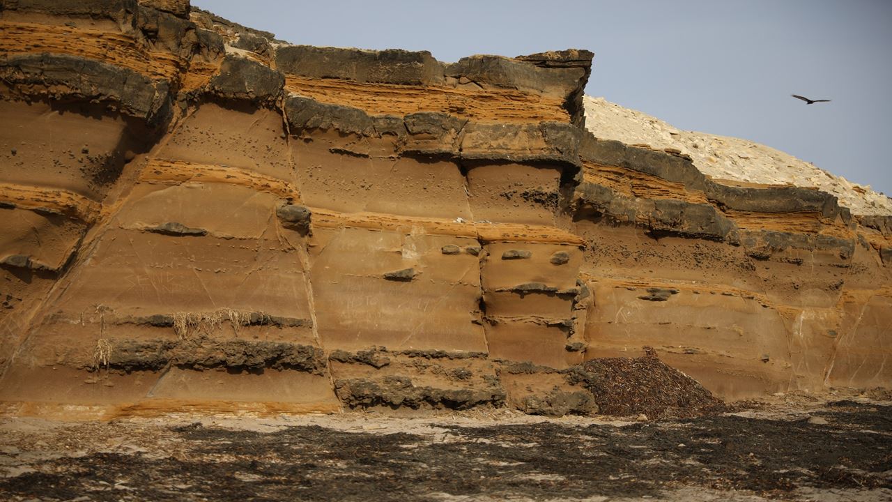 National Reserve Half Day Tour foto 5