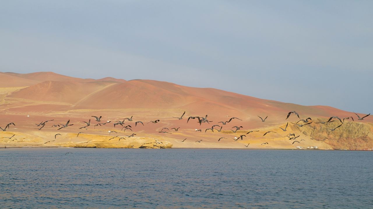 National Reserve Half Day Tour foto 7