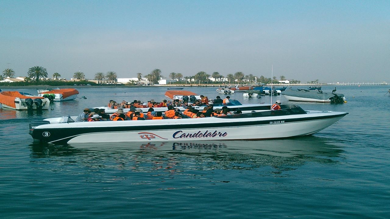 Passeio Pelas Ilhas Ballestas foto 5