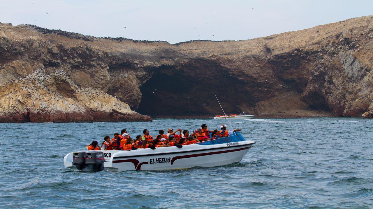 Passeio Pelas Ilhas Ballestas foto 7