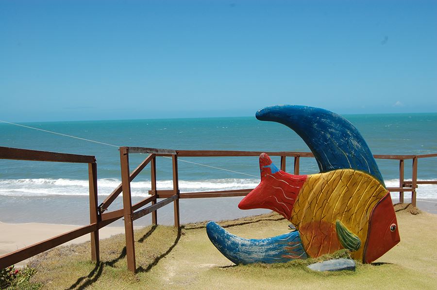 Tour A Praia De Morro Branco E Fontes foto 3