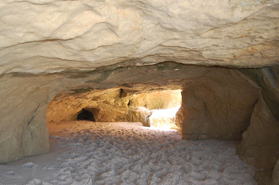 Tour A Praia De Morro Branco E Fontes foto 8