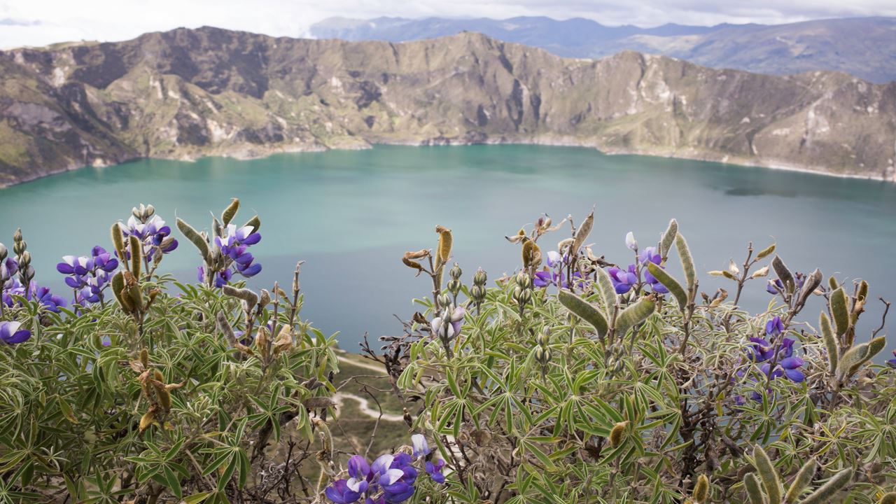 Tour A Los Volcanes Cotopaxi Y Quilotoa (4)