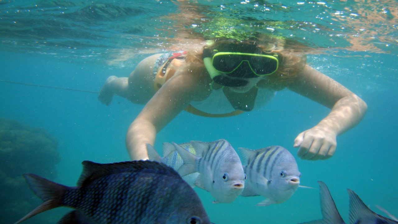 Tour À Maracajaú Com Passeio De Catamarã foto 2