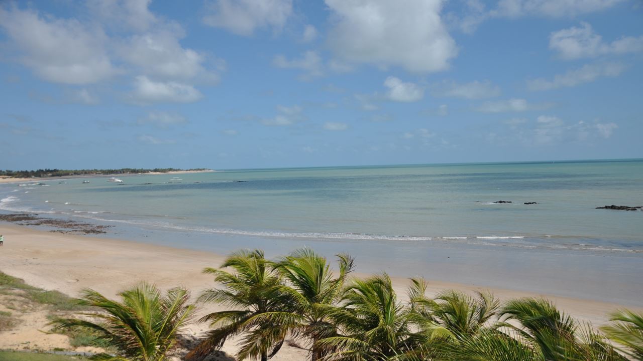 Tour À Maracajaú Com Passeio De Catamarã foto 4