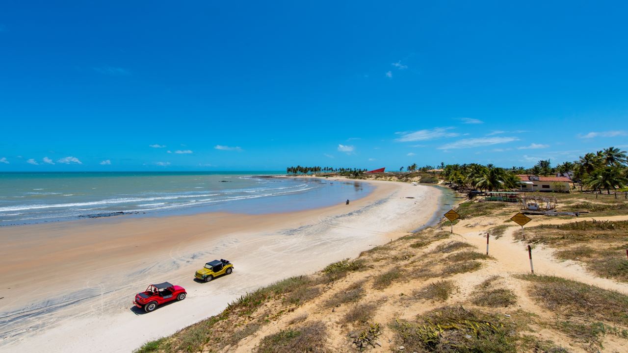 Tour À Maracajaú Com Passeio De Catamarã foto 6