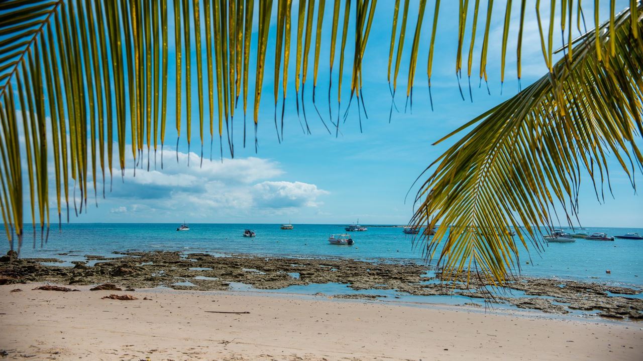 Tour A Morro De São Paulo foto 1
