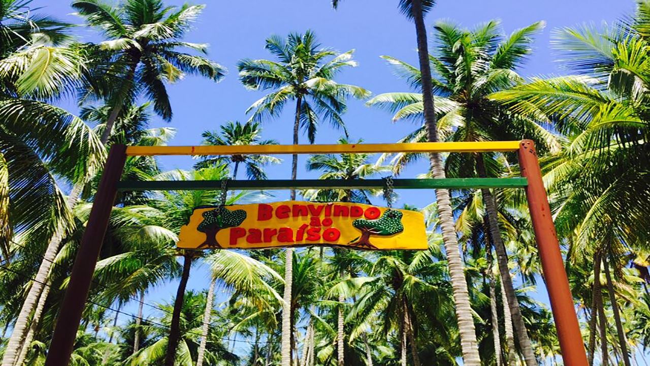 Passeio À Praia Dos Carneiros Com Catamarã foto 7