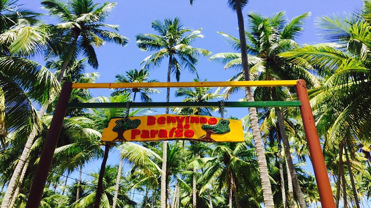 Passeio À Praia Dos Carneiros Com Catamarã foto 1