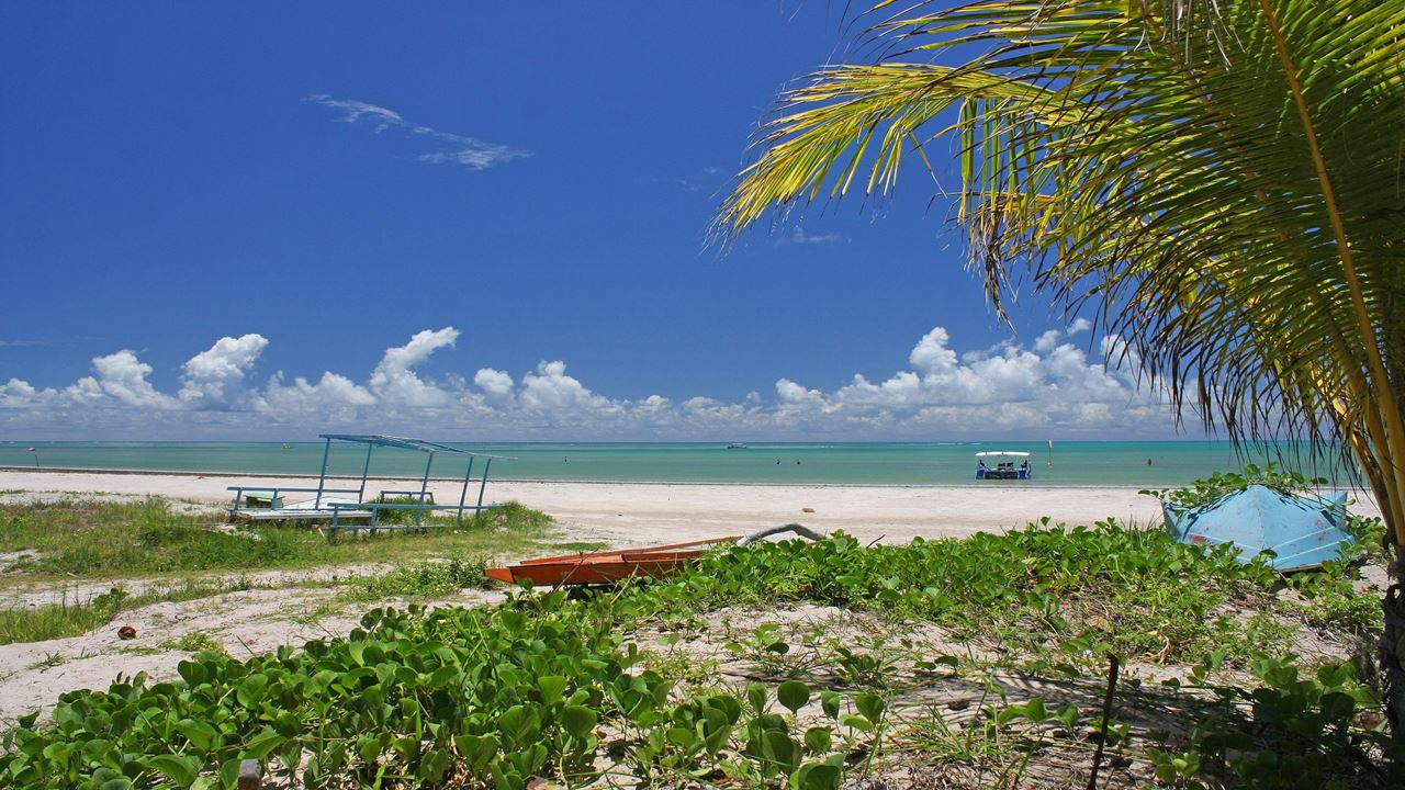 Tour A Playa De Paripueira foto 5