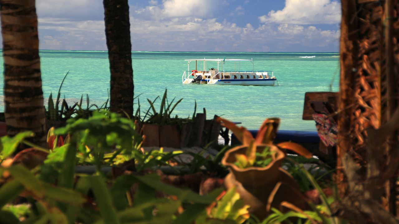 Tour A Playa De Paripueira foto 8