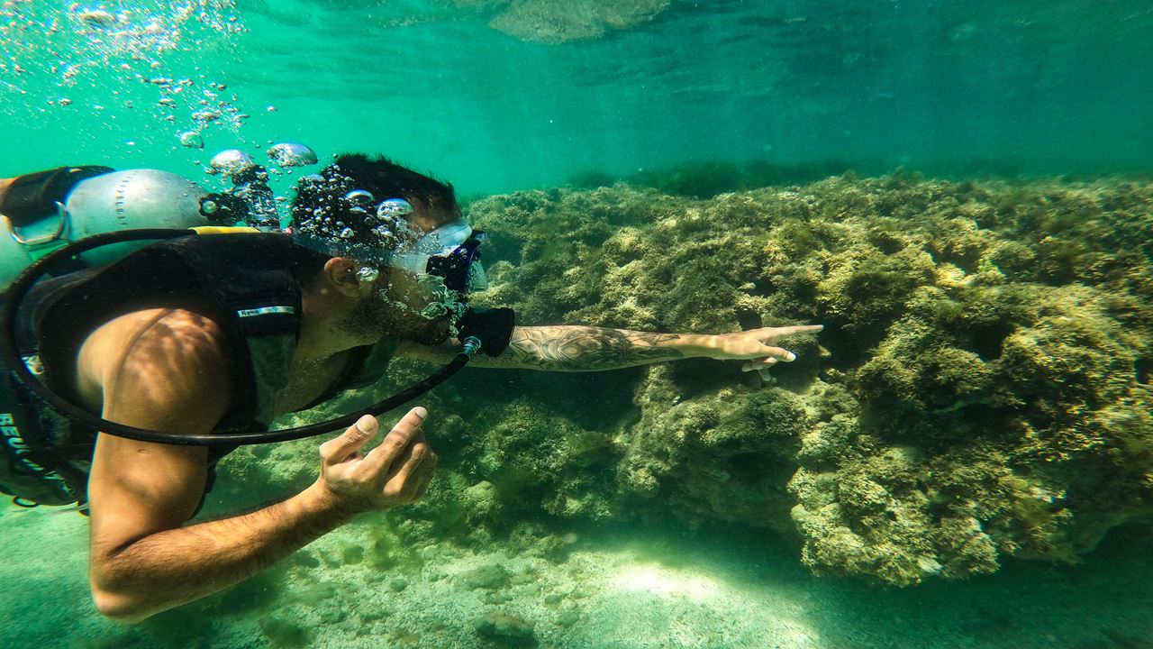 Tour A Playa De Paripueira foto 2