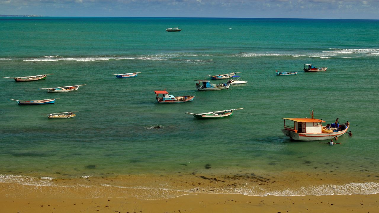 Tour A Playa De Pipa foto 5