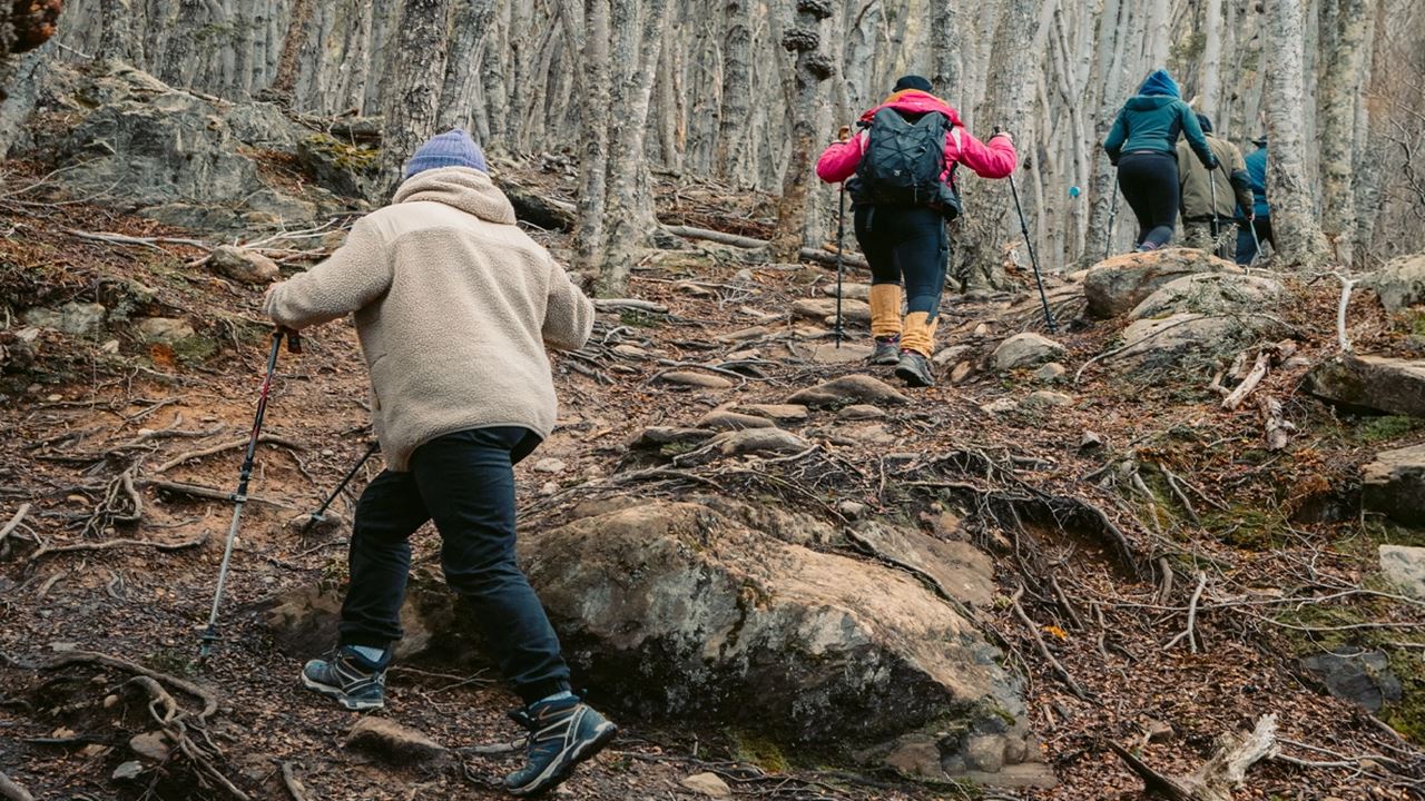 Tour A Puerto Almanza Con Almuerzo (11)